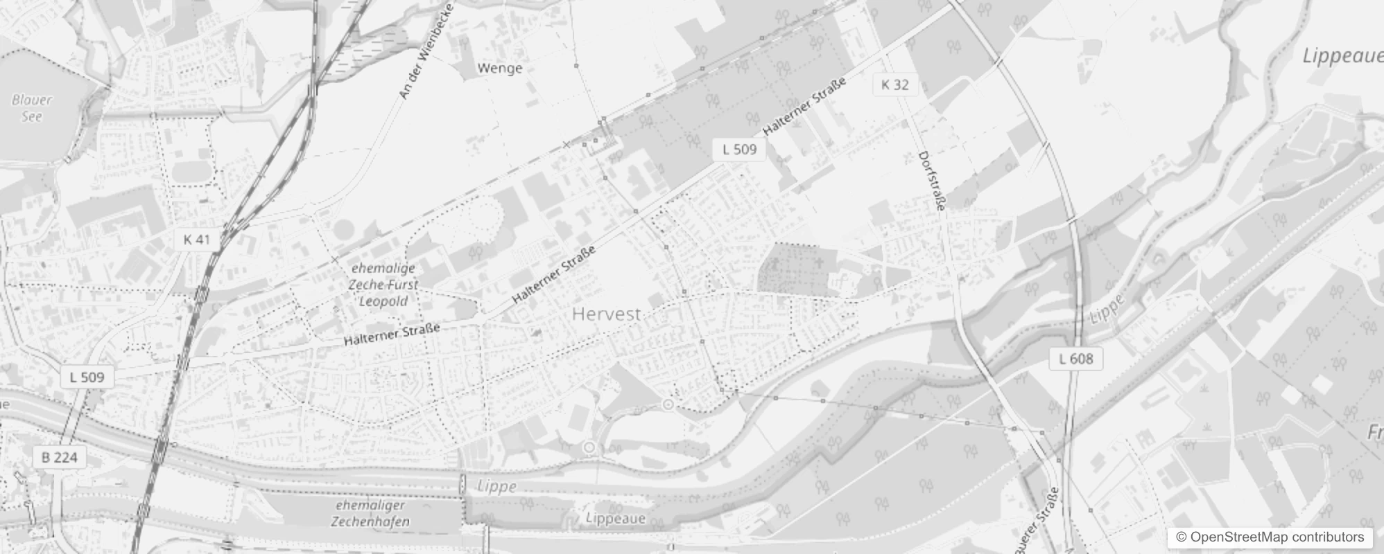 Bild von Dorsten Hervest