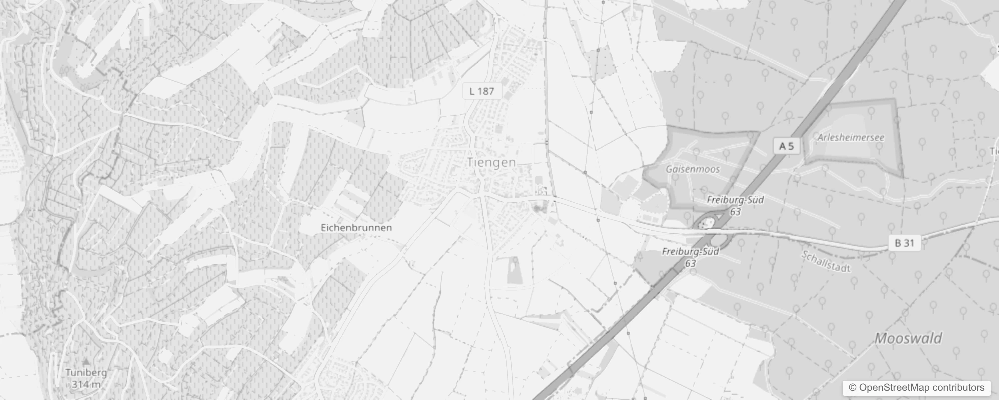 Bild von Freiburg im Breisgau Tiengen