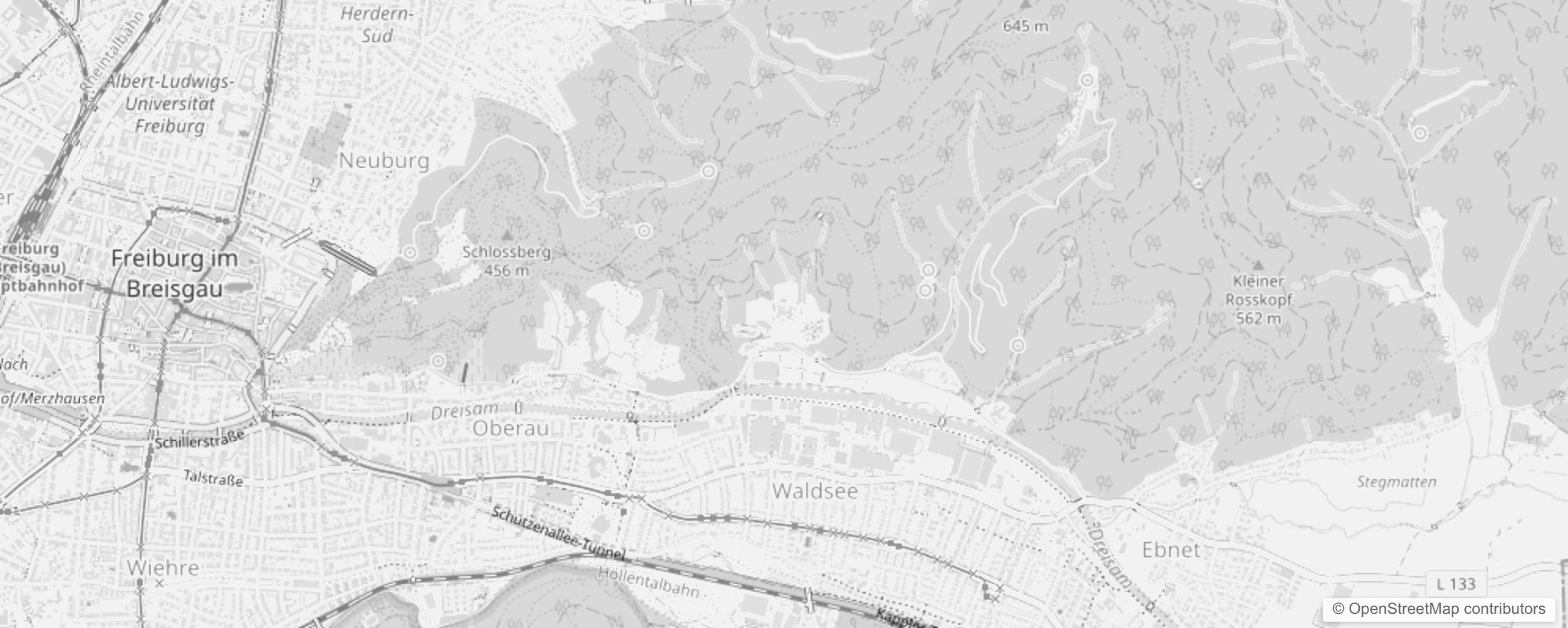 Bild von Freiburg im Breisgau Waldsee