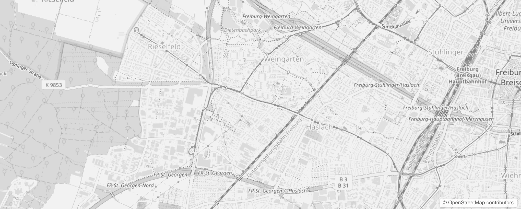 Bild von Freiburg im Breisgau Weingarten