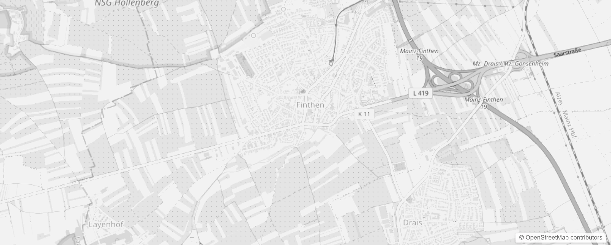 Bild von Mainz Finthen