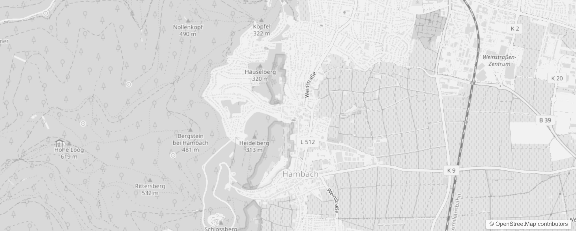 Bild von Neustadt an der Weinstraße Hambach