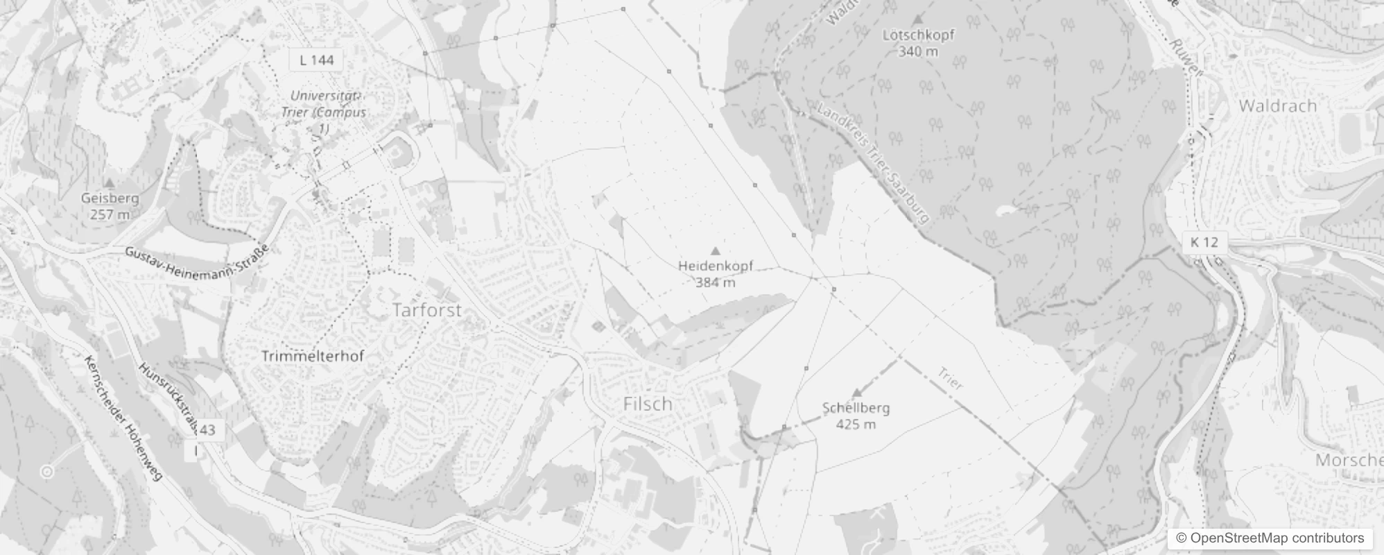 Bild von Trier Tarforst