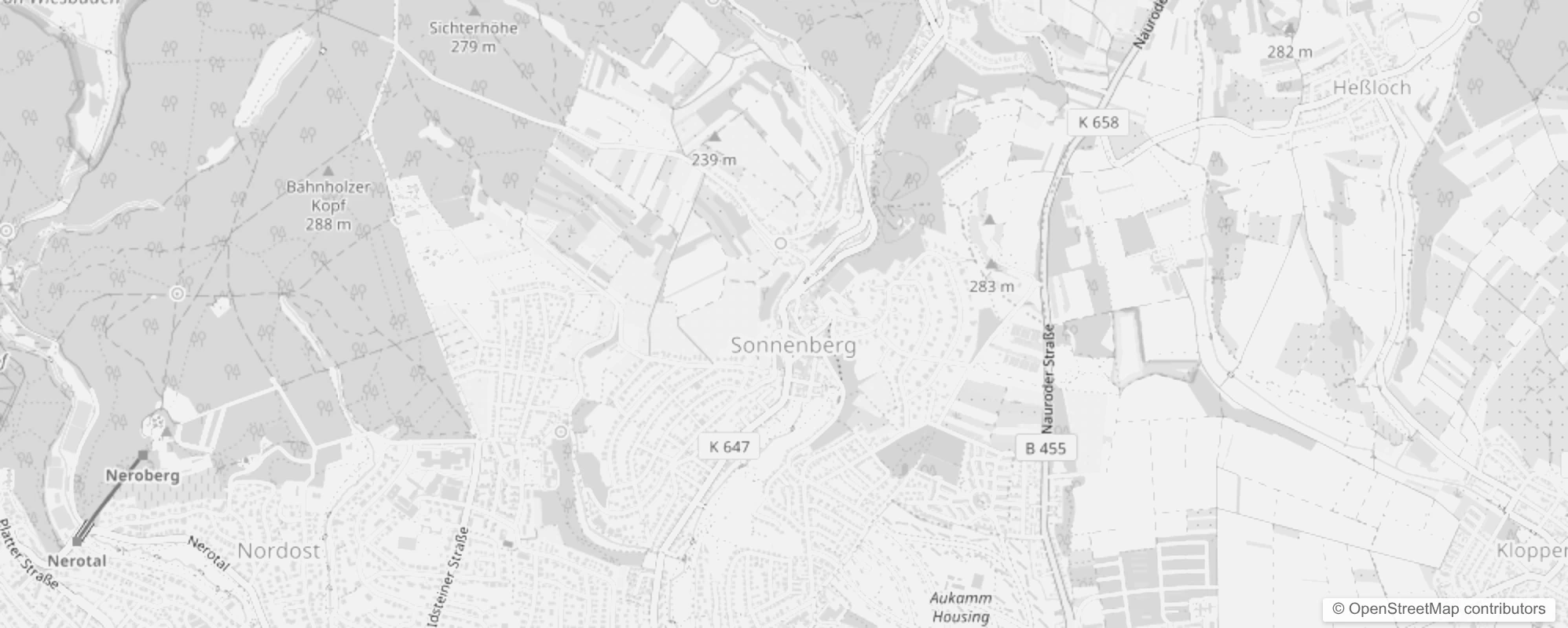 Bild von Wiesbaden Sonnenberg